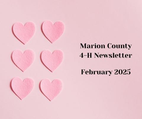 Marion County 4-H Newsletter - February 2025